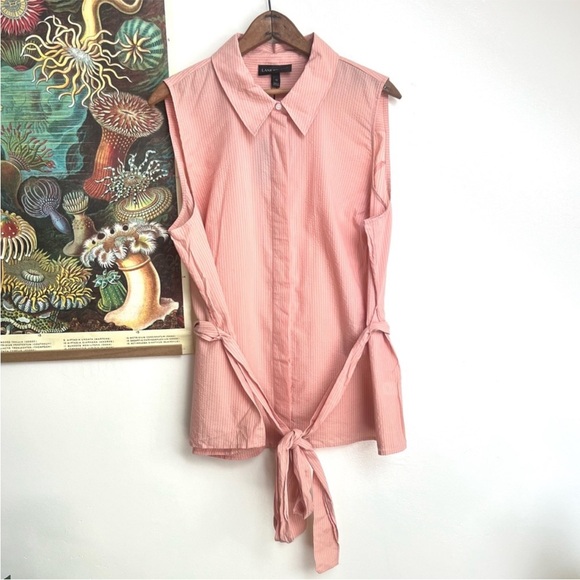 Lane Bryant Tops - Lane Bryant Pinstripe Pink Sleeveless Belted Button Down Top size 22 NWT